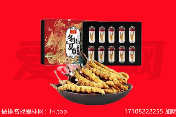 朔州市右玉回收虫草.jpg
